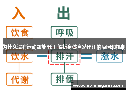 为什么没有运动却能出汗 解析身体自然出汗的原因和机制